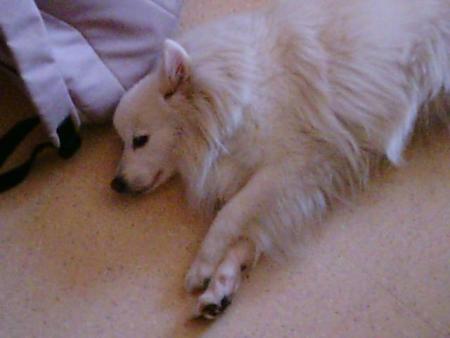 Repos